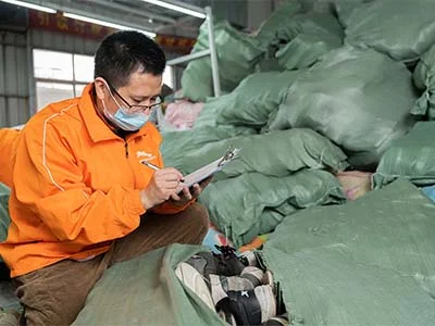 Employees are inspecting the quality of secondhand brand shoes